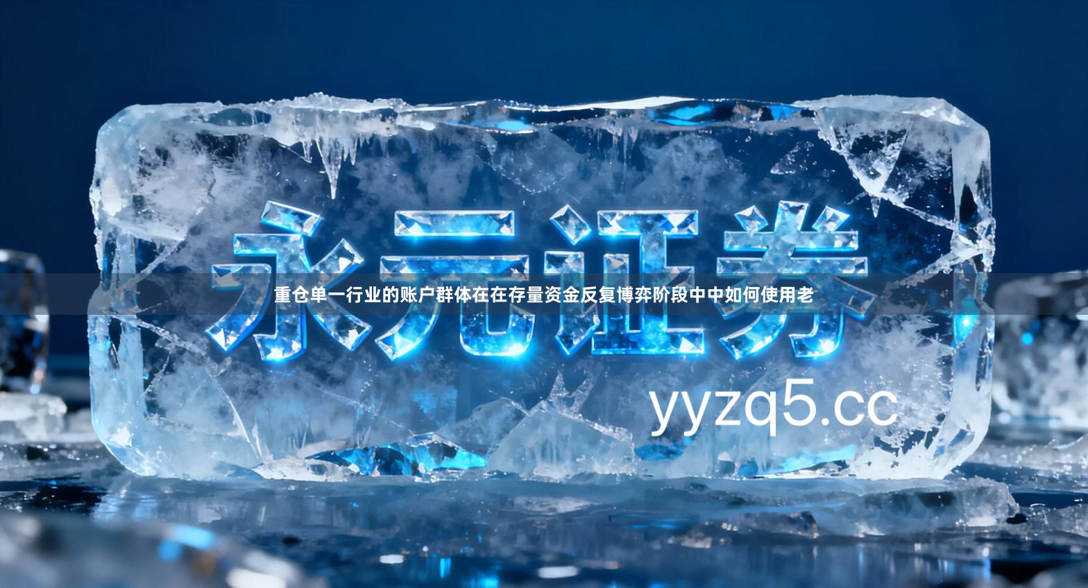 重仓单一行业的账户群体在在存量资金反复博弈阶段中中如何使用老